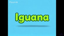 La iguana y un dato
