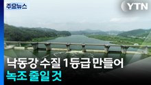 "낙동강 수질 1등급 만들어 녹조 줄일 것" / YTN