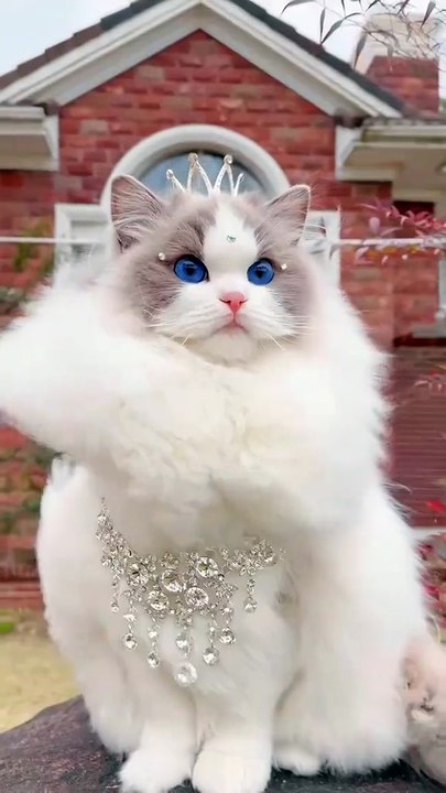 Cute Laughing kid dudi dudi dam dam | AI Kids