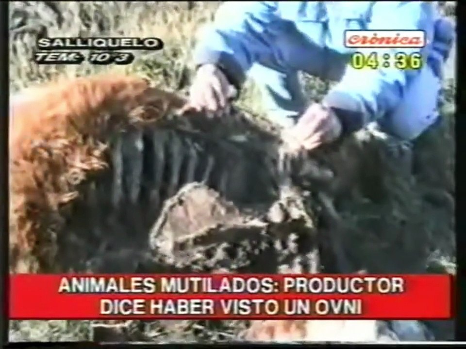 Mutilaciones de ganado y avistamiento de OVNI en Salliqueló (Crónica TV, 27-06-02)