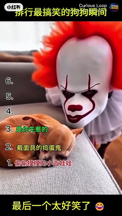 Warning: These Puppies Will Make You Smile Instantly 🐶✨