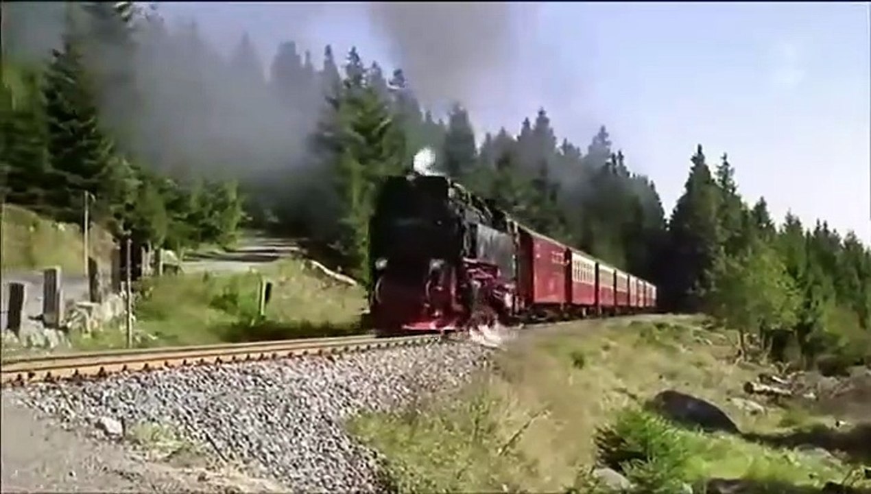 2 für alle Fälle -02- Manche mögen Mord