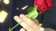 Flame to Rose Appearing Magic Flower Torch 🌹🔥