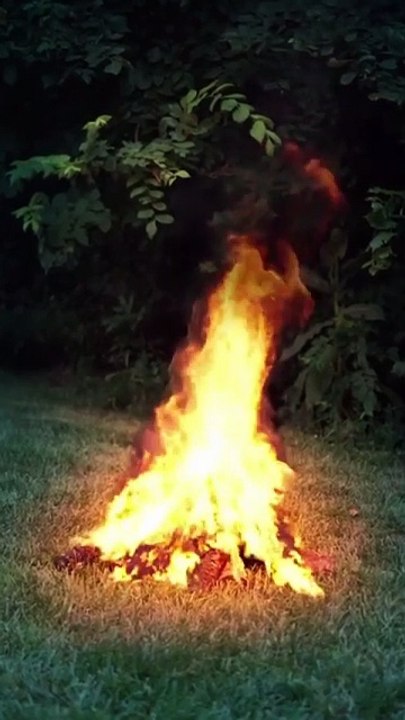 [Ganze Folge] Sein Imperium Ist Mein [Deutsche Untertitel]