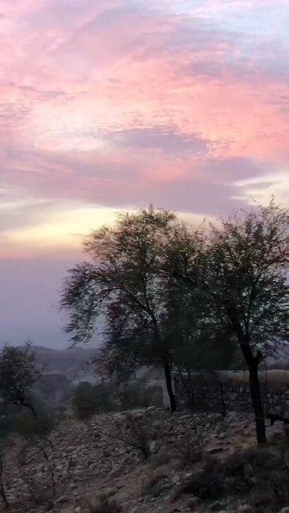 Beautiful Shaam