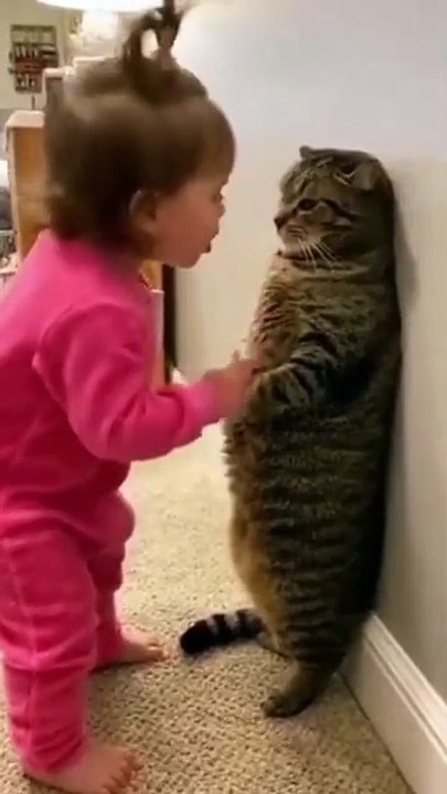 Little_Trend_Spot_♡
