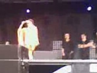 papillon de nuit camille