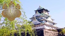 （たおやかインターネット放送)その日の出来事豊臣兄弟組織を壊さなかったNo.2The second-in-command who did not dismantle the Toyotomi brothers' organisation