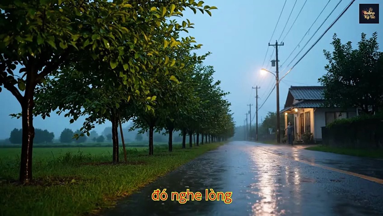 MƯA ĐÊM TỈNH LẺ - BOLERO KÝ ỨC