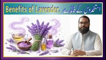 Benefits of Lavender