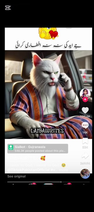 Funny call