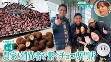 ワンディッシュ～「おいしい」の向こう側～ 宇垣美里さんが大好きなチョコを堪能！育てる人、加工する人、作り上げる人…世代や国境 - 2026年03月01日~6b34f025
