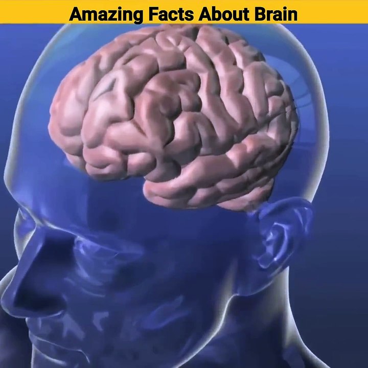 Mind