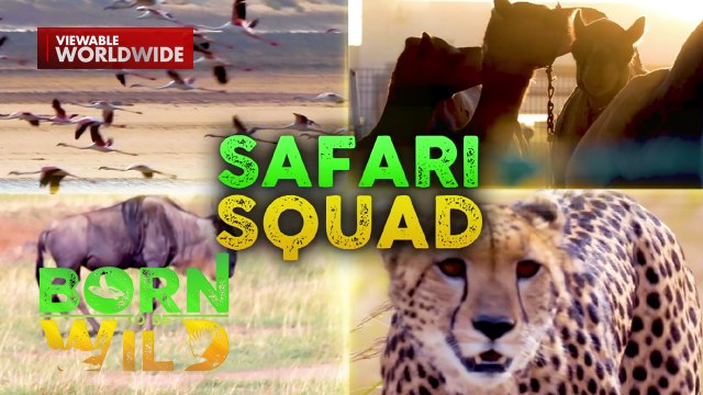 Wildlife reserve, sinilip ni Doc Ferds Recio | Born to be Wild