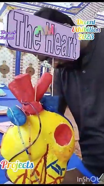 educational exhibition 2023 at decent school Charan memon dphs school 🎒🏫🎒