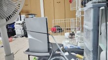 銀のスプーンの袋に噛みつくココア