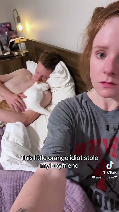 Eifersüchtige Kätzchen