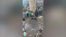 Una escena surrealista y lamentable: aficionados del Betis pegándose entre ellos
