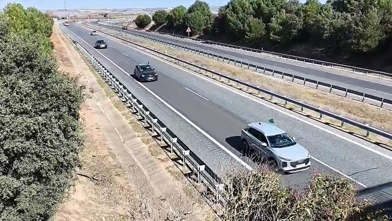 'Pisando huevos' para exigir la reapertura del Tren Directo entre Burgos y Madrid pasando por Aranda