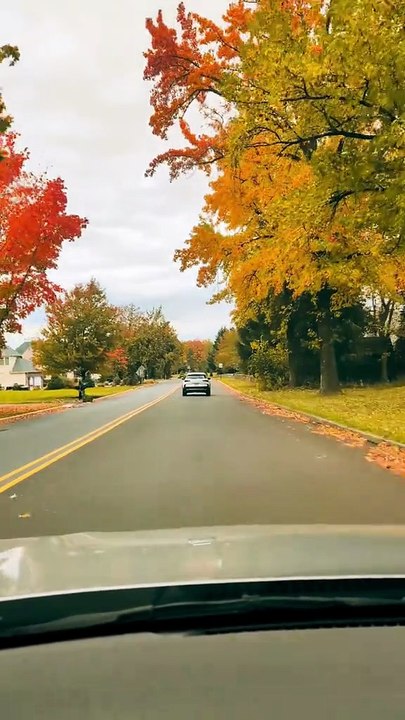 Stories like this remind us how quickly one incident can shake people emotionally.