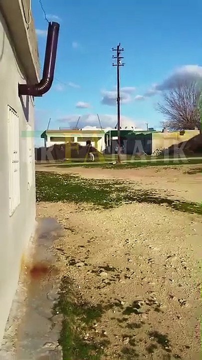 Şanlıurfa’da Husumetli Aileler Arasında Taşlı ve Sopalı Kavga