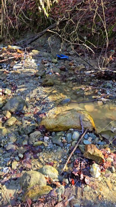 The Small Gold Sluice Box and Its Results
