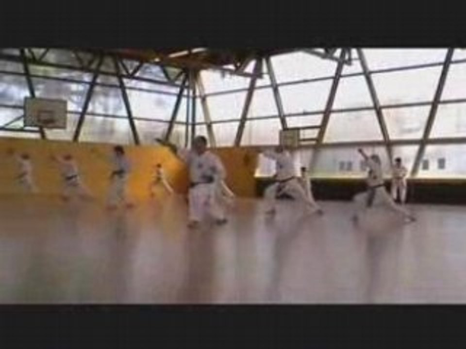 Entraînement Shito Ryu Karate Do