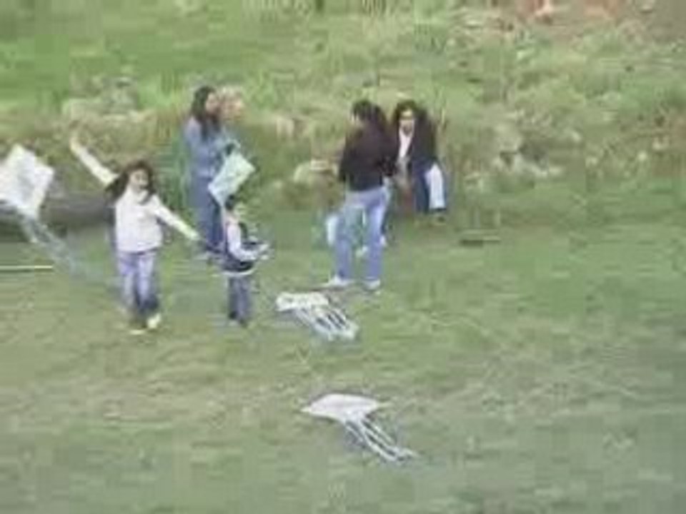 Barrileteada por la vida en la Costanera