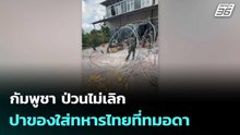 กัมพูชา ป่วนไม่เลิก ปาของใส่ทหารไทยที่ทมอดา อ้างจับชาวบ้านขัง | โชว์ข่าวเช้านี้  | 2 มี.ค. 69