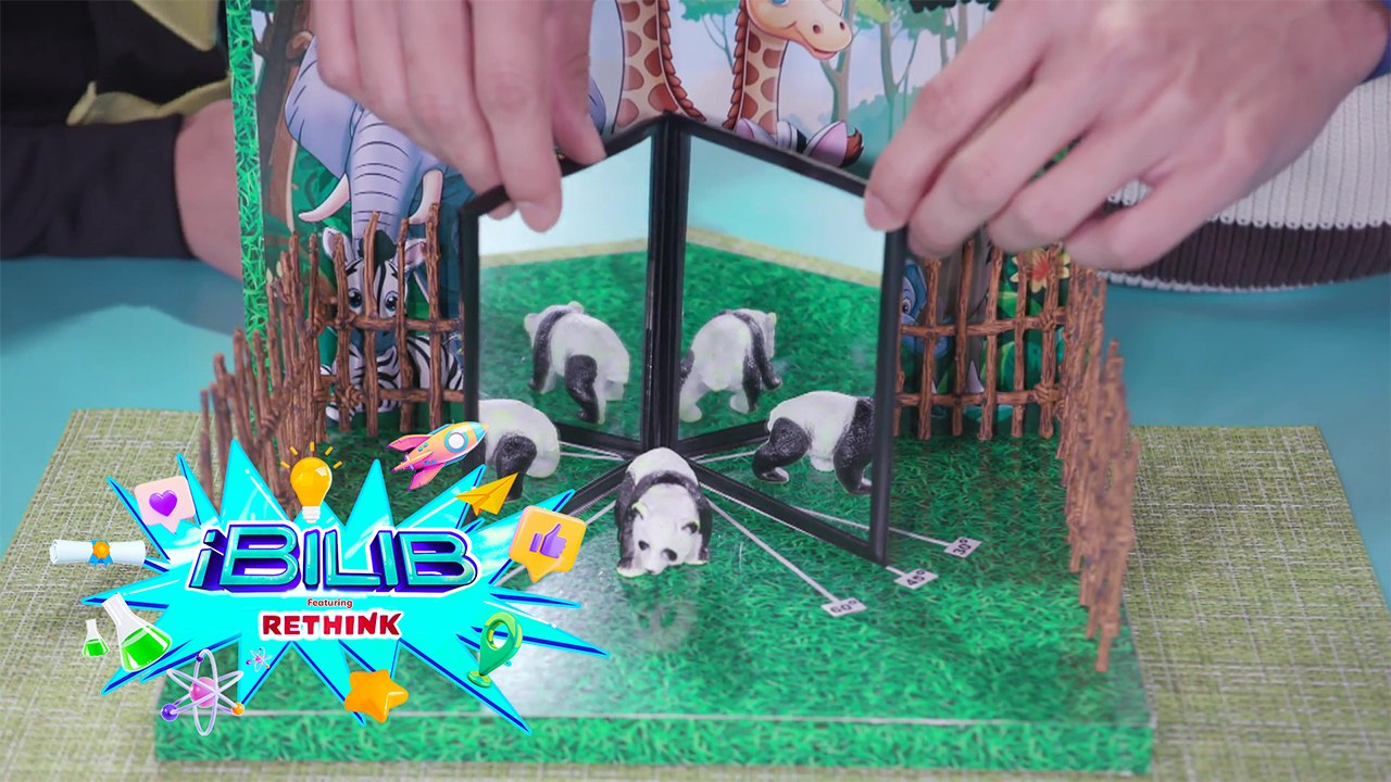 iBilib: How does this mirror multiply everything?