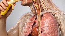 what happened inside your body when you eat banana ?