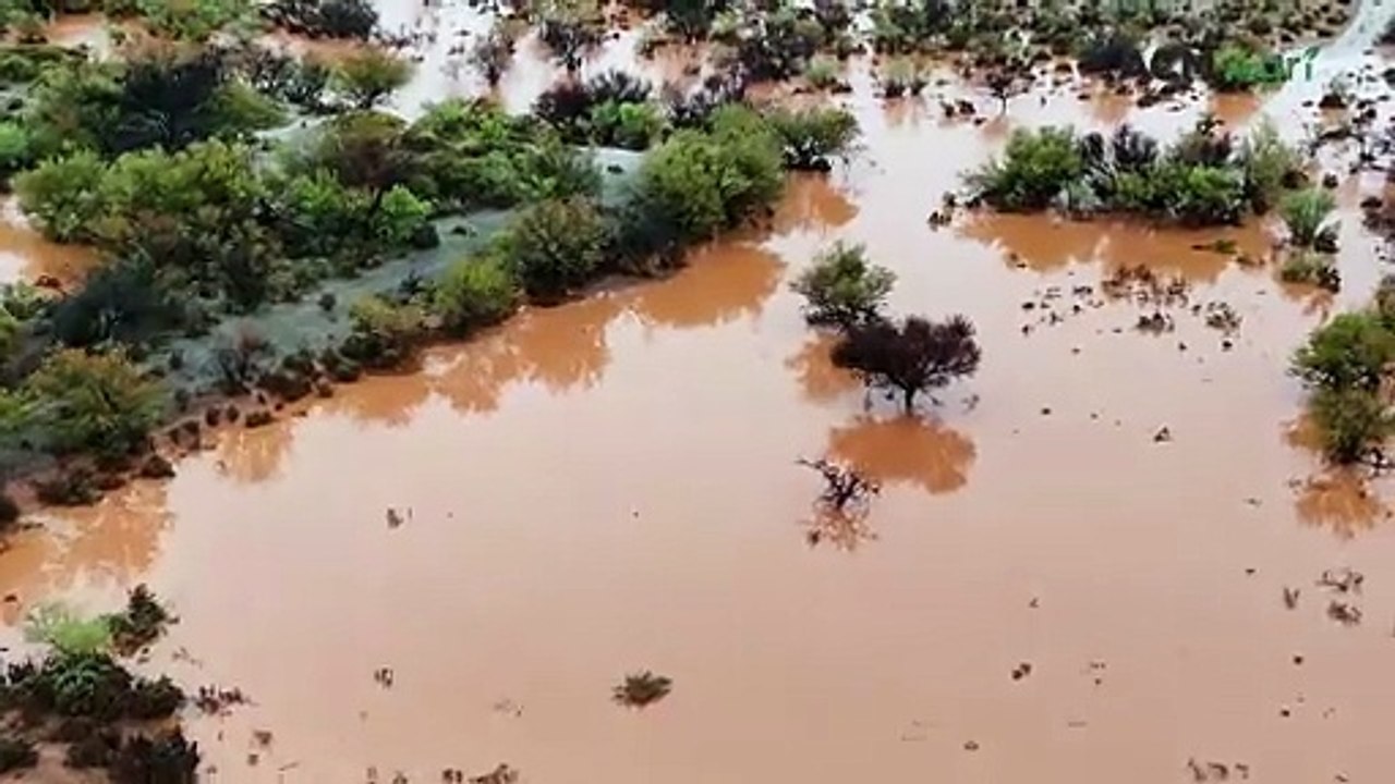 Unprecedented rainfall hits SA