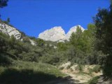 Dentelles de Montmirail