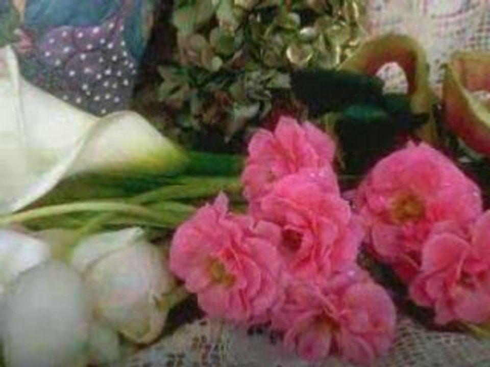 Viki Miljkovic - Sanjala Sam Ruzan San