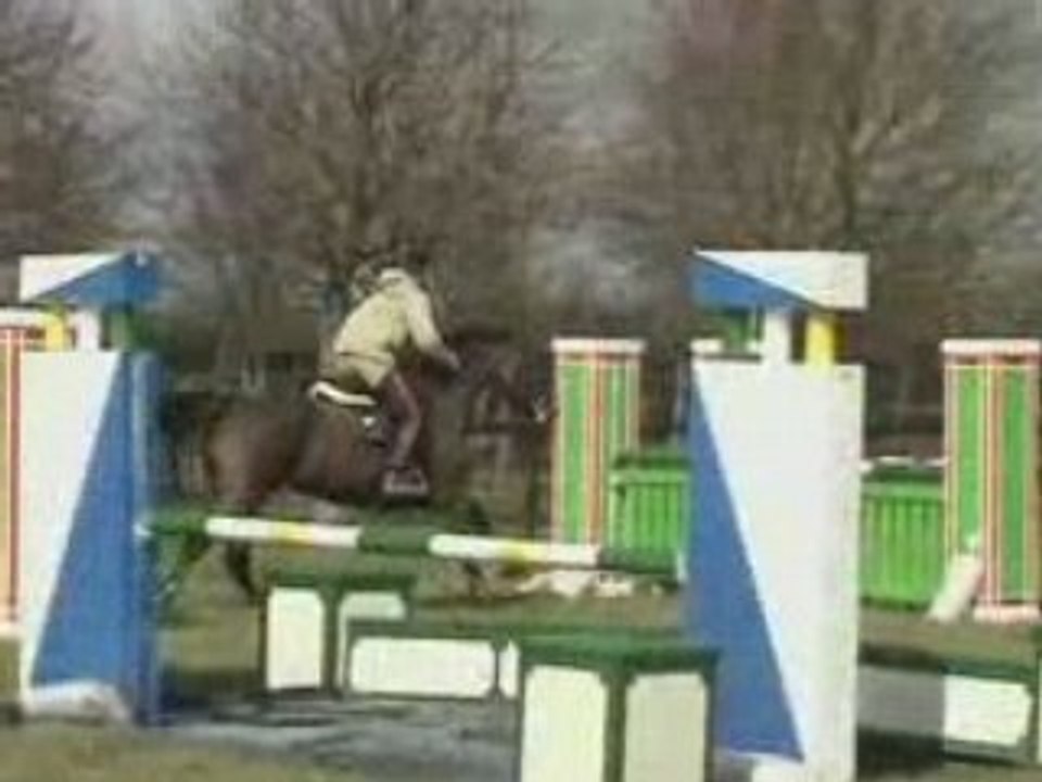 5ans alezan par lord z