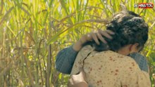 THE BLUFF： El Engaño (2026) RESUMEN EN MINUTOS