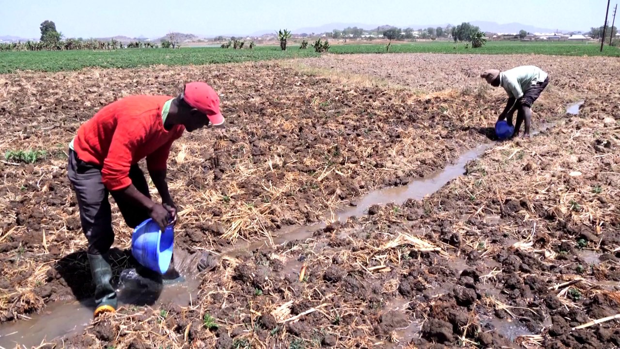 Inadequate water access fuels tensions between Nigerian farmers, herderss