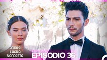 Amore Logica Vendetta Episodio 36