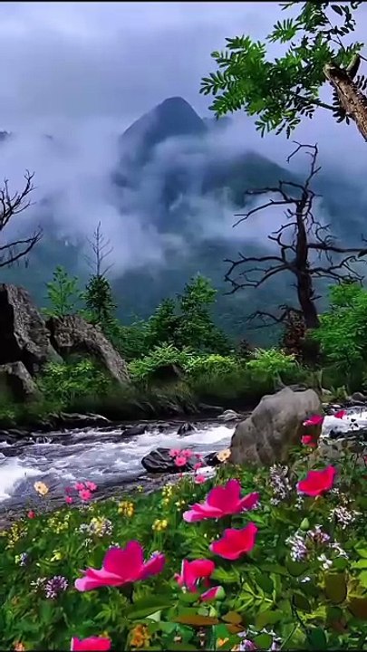 Beautiful Qur’an Recitation – Peaceful and Spiritu