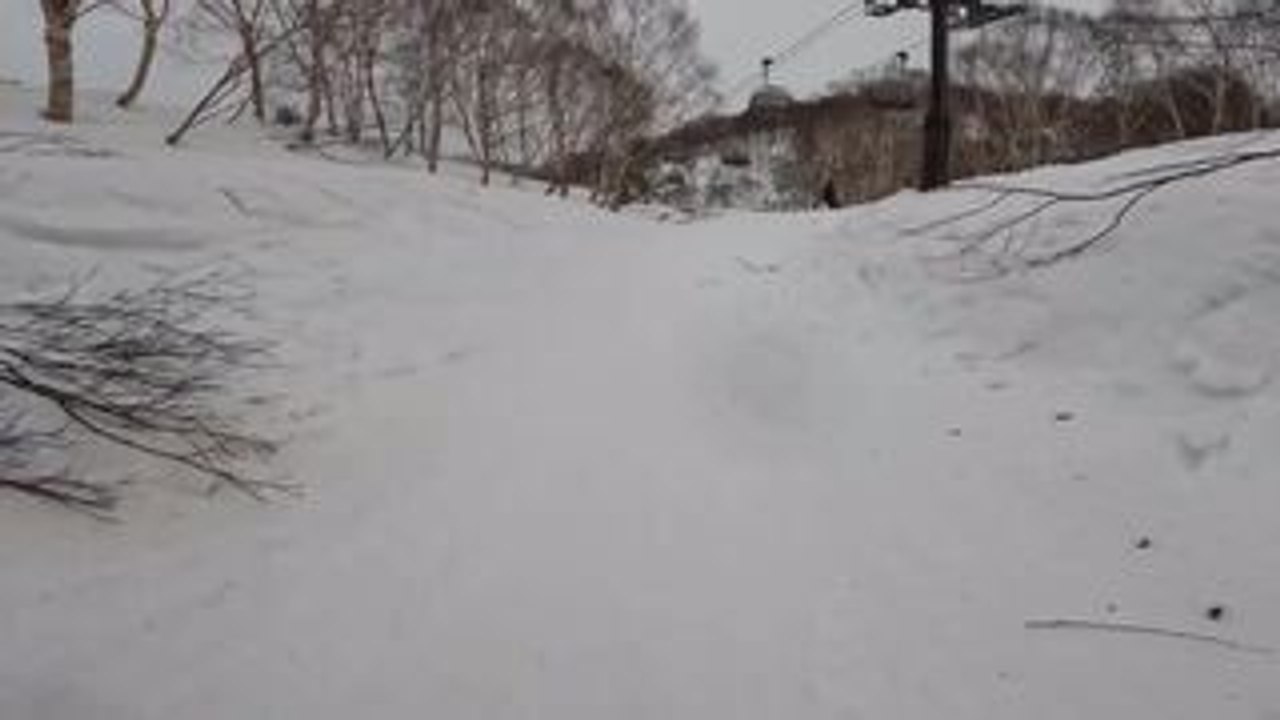 Snowboarder Crashes in Snow While Attempting to Jump Over Tree Branches