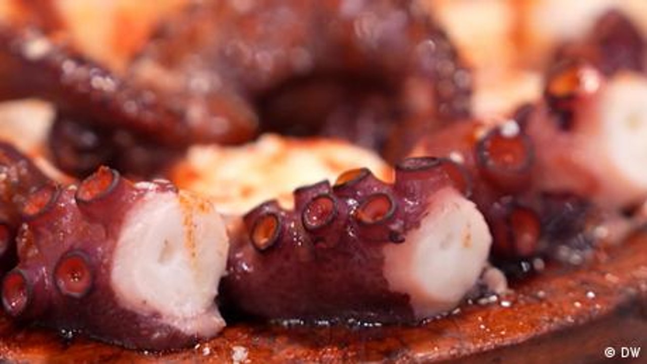 Kann man Oktopus mit gutem Gewissen essen?