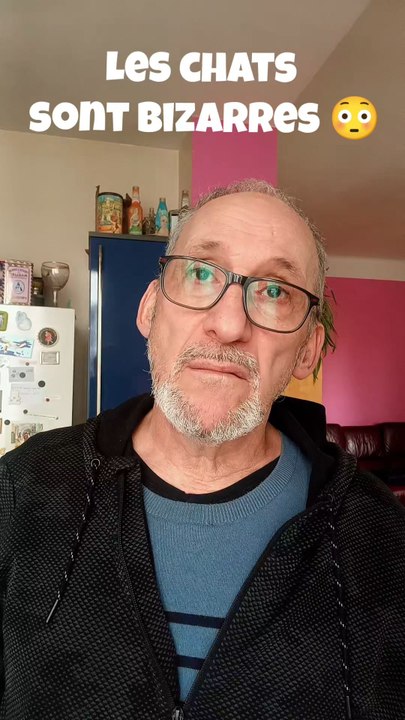 Les chats sont vraiment bizarres 😸🐈🥴