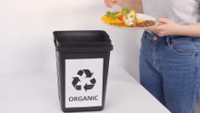 North East Councils Outline Food Waste Collection Roll-Out Plans
