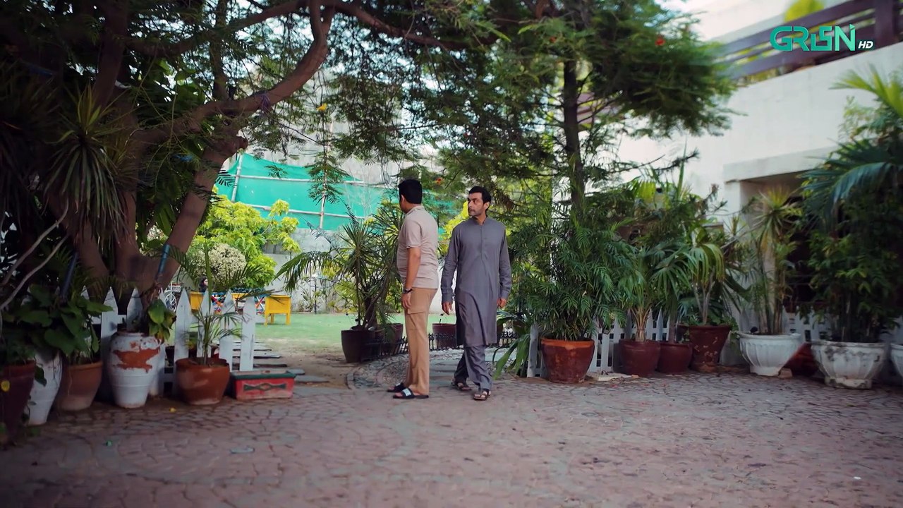 Maa Episode 29 (Subtitles) 2nd March 2026   Aina Asif - Ahmed Rafique - Sunita Marshall   Green TV