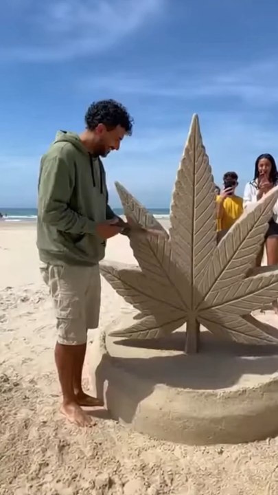 Il transforme la plage en œuvre d’art 🌊