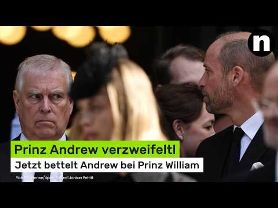 Prinz Andrew verzweifelt: Jetzt bettelt Andrew bei Prinz William
