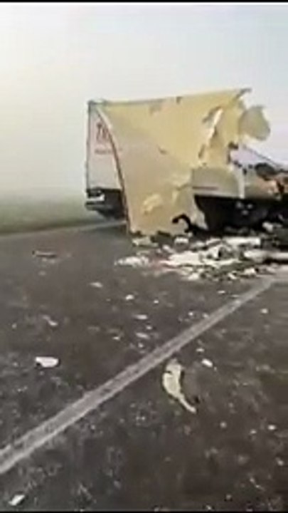 Video | ¡Terrible accidente! Choque de bus con camión deja cuatro muertos y 15 heridos