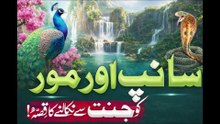 Mor Aur Sanp Ko Jannat Se Kyun Nikala Gaya Aur In Ka Anjam Islamic Stories Noor TV