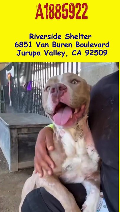 Deadline must exit by 3/4  A1885922 Marky