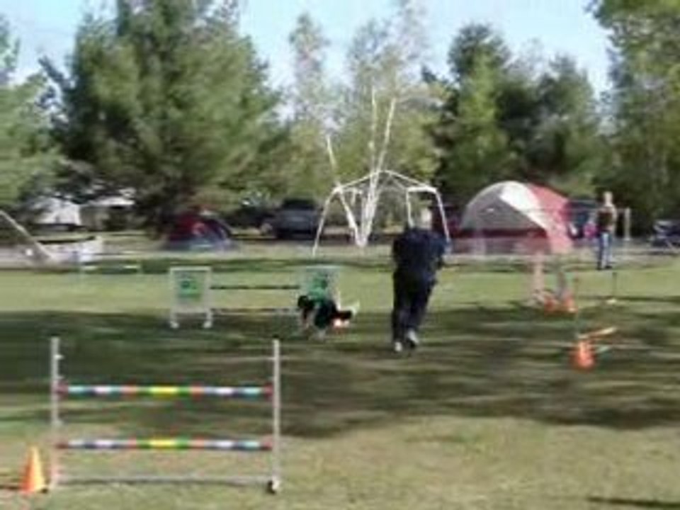 Jumping expert 18 mai 2008